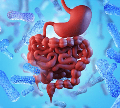 gut health