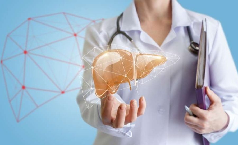 liver